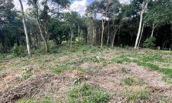 Imagem 4: Vendo lote na Peinha