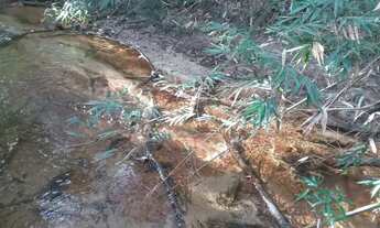 Imagem: 5 hectares 100 mil reais