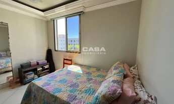 Imagem 5: Apt lindo em Castelândia