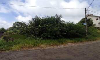 Imagem 3: Terreno com 3 Dormitorio(s) localizado(a) no bairro Cristo Rei em São Leopoldo / Ref.:3026