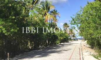 Imagem 6: Excelentes Terrenos Na Quarta Praia