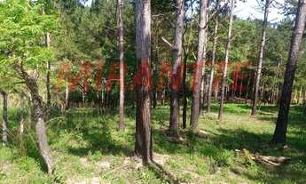 Imagem 2: Terreno em Alvinópolis