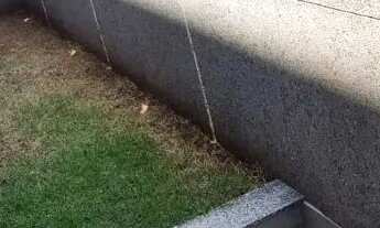 Imagem 7: Area privativa 1 quarto Santa Efigenia