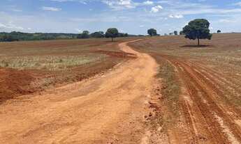 Imagem 3: Fazenda para plantio de soja , 43 alqueires , Jandaia, GO