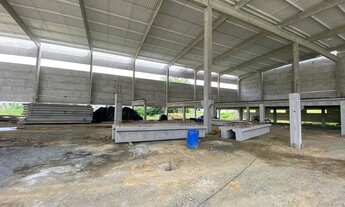 Imagem 5: 4 Galpões de 650 m2 Camboriú sc Bairro Rio Pequeno