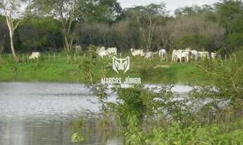 Imagem 4: GRANDE FAZENDA NO NORTE DE MINAS PARA PECUARIA DE 8 MIL HA BEM FOMADA E COM RIO