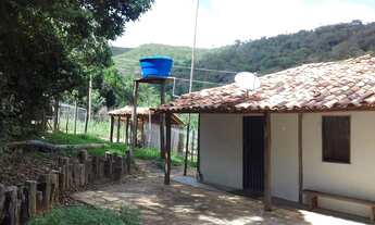 Imagem 6: Excelente sítio, 10 hectares, com casa principal e casa de hóspedes