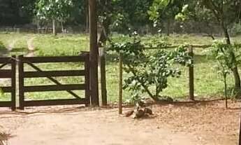 Imagem 7: Fazenda Amorinopolis 7 Alqueires Chácara à Venda, 338000.00 por R$ 1450000.00 AD7874