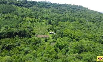 Imagem 2: Sítio / Chácara para Venda em Nova Petrópolis, Linha Olinda, 2 dormitórios, 1 banheiro