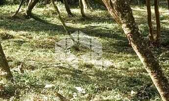 Imagem 2: Excelente terreno amplo com boa frente