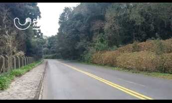 Imagem 5: Terreno/Área 20.000m² em Ferraria - Campo Largo/PR