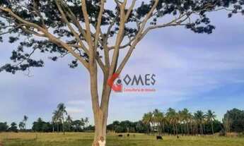 Imagem 5: Chácara à venda, 36000 m² por R$ 425.000,00 - Sao Francisco - São Francisco/SP