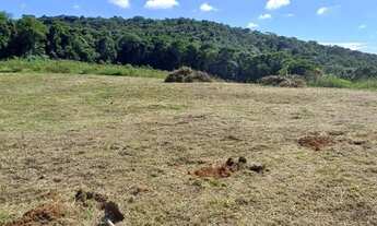 Imagem 3: Bosque dos Ciprestes Loteamento Charmoso em Ibiúna