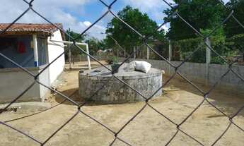 Imagem 7: Vendo sítio com 30 tarefas de terra mais casas