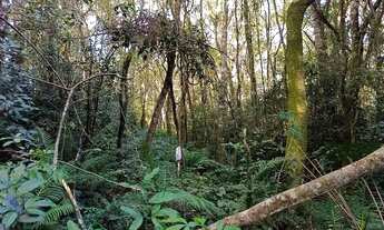 Imagem 5: Chacara Caminho do Vinho, Colônia Murici - São José dos Pinhais - PR
