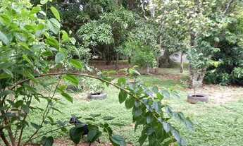 Imagem 3: Chácara para venda tem 5000 metros quadrados com 3 quartos em Zona Rural - Hidrolândia - G