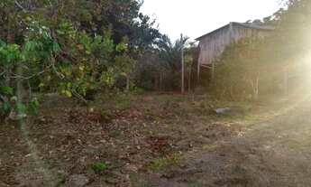 Imagem 2: Terreno na am 240 109x3000