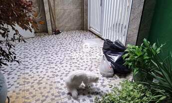 Imagem 6: Méier Casa com 5 dormitórios