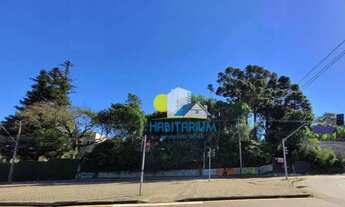 Imagem 4: Excelente terreno na Av Paraná, no Santa Cândida, uma chácara urbana