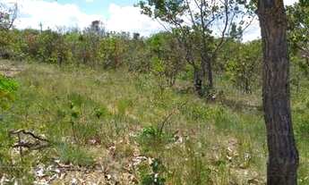 Imagem 4: Linda chácara de 1.000 metros na Cuia região de Baldim. WhTSApp * Guilherme