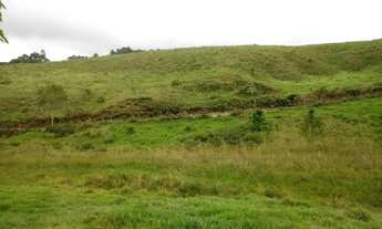 Imagem: 50 hectares - ideal para Agricultura, Pecuária