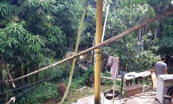 Imagem 7: R$160 mil Linda chácara no papuquara 40x60 com casa 3/4 6