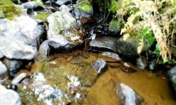 Imagem 5: Sítio 14 hectares em Urupema com Cachoeira