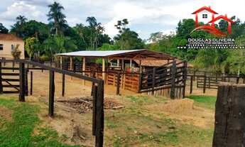 Imagem: Fazenda 319 Hectares Região De Nova Aurora