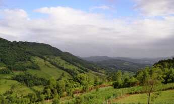 Imagem 2: TERRENOMorro Reuter