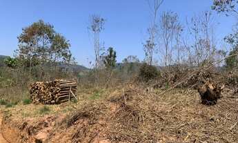 Imagem 3: Terreno com ruas abertas