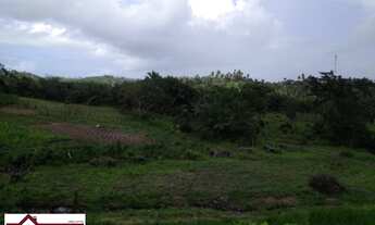 Imagem 7: JANDAIRA - RURAL - CENTRO