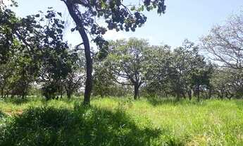 Imagem: Compre uma fazendinha rural com dois hectares