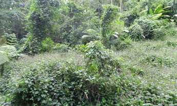 Imagem 3: RIO DE JANEIRO - Loteamento/Condomínio - JARDIM BOTÂNICO