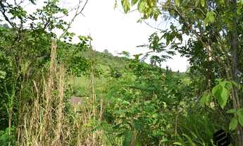 Imagem 5: DOIS IRMÃOS - RURAL - Travessão