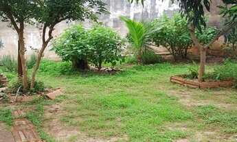 Imagem 5: SÃO JOSÉ DO RIO PRETO - Casa Padrão - JARDIM OURO VERDE