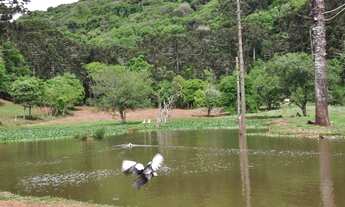 Imagem 6: Fazenda/Sítio/Chácara -Casca -RS