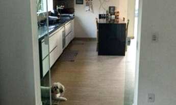 Imagem 5: Casa com 3 dormitórios, 451 m² - venda por R$ 2.000.000,00 ou aluguel por R$ 12.000,00/mês