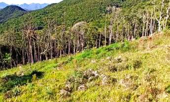 Imagem 4: Terreno Rural - Vista paradisíaca