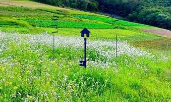 Imagem 5: Vendo lote em área verde e com lagos para seu descanso e bem estar