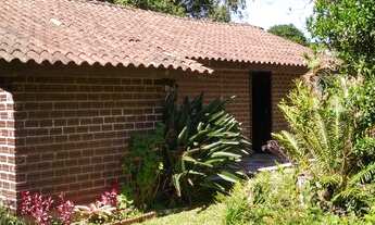 Imagem 7: Chácara com 5 dormitórios à venda, 30000 m² por R$ 890.000,00 - Treze Colônias - Nova Petr