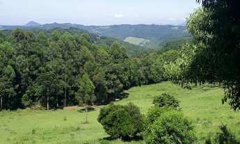 Imagem 4: Chácara em Taquara