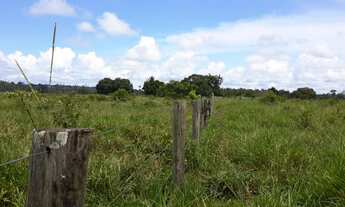 Imagem 3: SITIO COM 11 ALQUEIRES