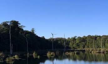 Imagem: Fazenda Alto Araguaia