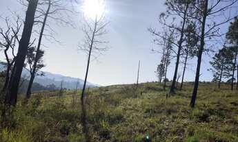 Imagem 2: Lote/Terreno para venda possui 1000 metros quadrados em Centro - Bom Jesus dos Perdões - S