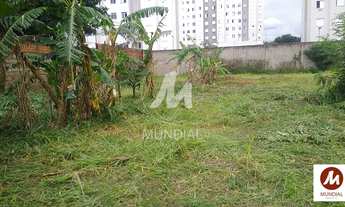 Imagem: Terreno (terreno normal