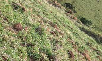 Imagem 5: Terreno para venda em Atibaia - SP