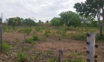 Imagem: Chácara para venda tem 40 metros quadrados