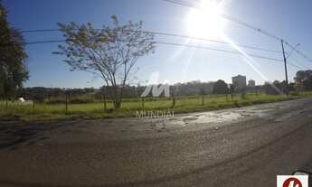 Imagem 3: Terreno (terreno normal