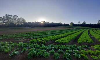 Imagem 6: Terrenos Planos e Limpos Para Sua Casa de Campo em Ibiúna - SP