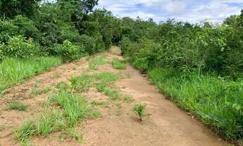 Imagem 5: Excelente Fazenda 107 alqueires município de Palmas Tocantins